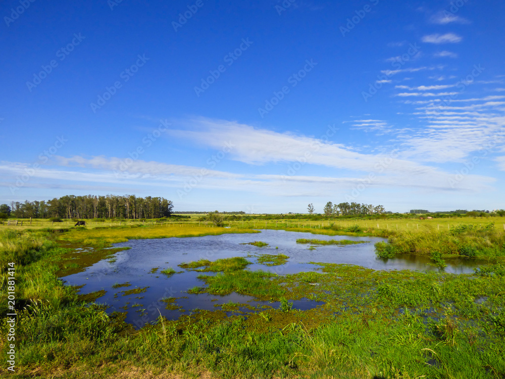 Small creek, blue sky - a view of the pampa biome in Uruguaiana, Brazil