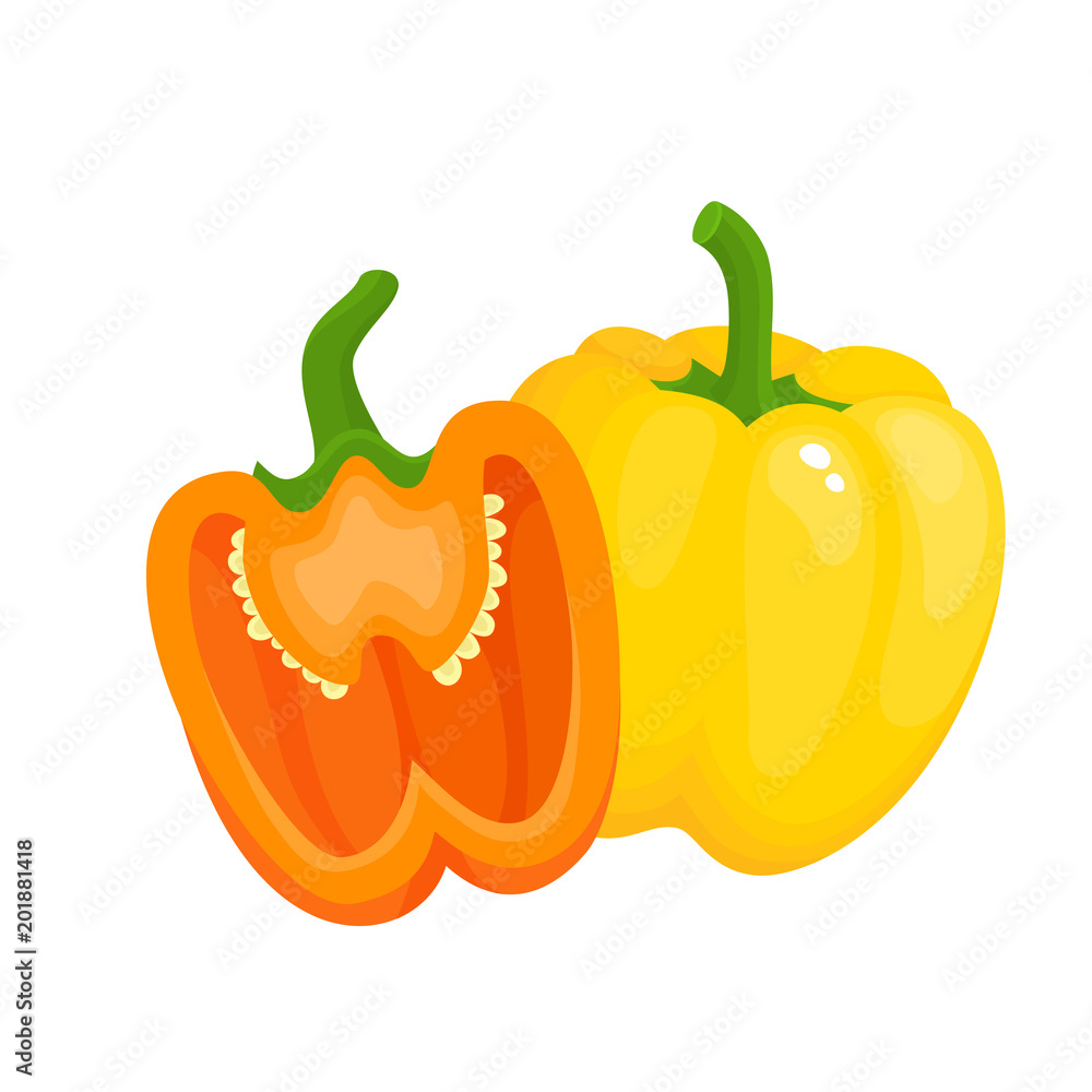 Bright vector illustration of juice sweet pepper isolated on white. Bright vector illustration of juice sweet pepper isolated on white.