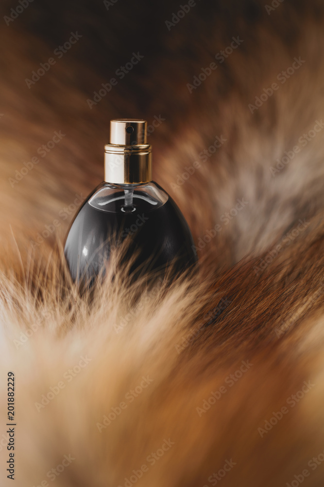 Naklejka premium Perfumery, cosmetics fragrance