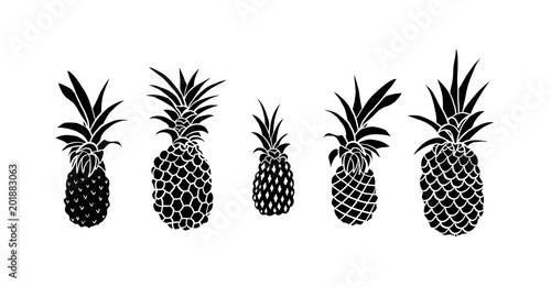 Vector set of five pineapple fruit. Tropical summer vacation collection. Design for print. Black and white illustration