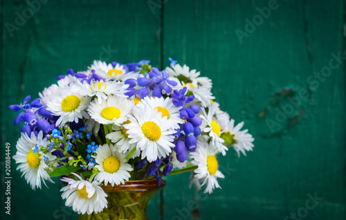 Fototapeta Naklejka Na Ścianę i Meble -  Daisies, forget-me-not and grape hyacinth - spring bouquet