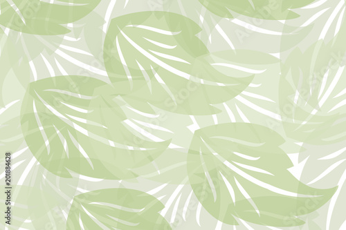 zielone liście na białym tle 