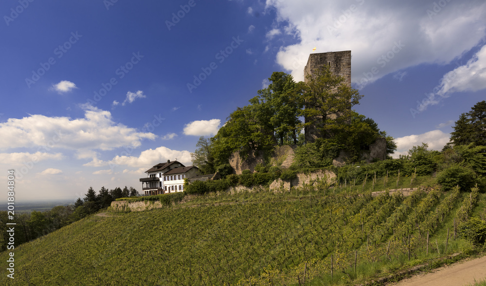 Castle Windeck_Buehl-Baden Wuerttemberg, Germany