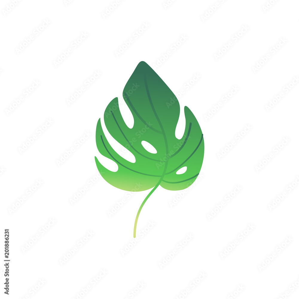Green palm plant leaf icon. Tropical beach party, natural exotic vacation summer floral object. Vector isolated illustration in cartoon style Green palm plant leaf icon. Tropical beach party, natural exotic vacation summer floral object. Vector isolated illustration in cartoon style