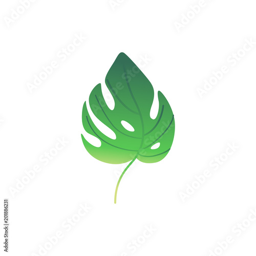 Green palm plant leaf icon. Tropical beach party, natural exotic vacation summer floral object. Vector isolated illustration in cartoon style