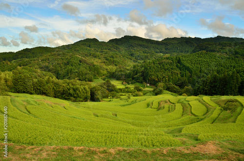 大山千枚田 千葉県鴨川市