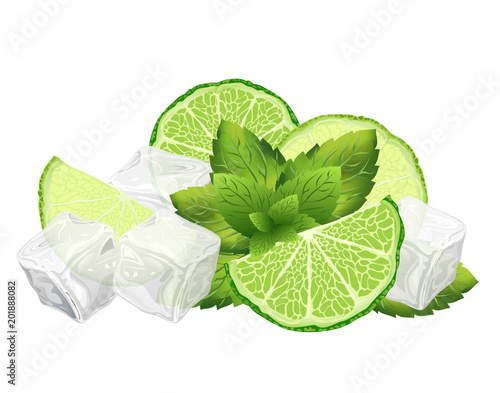 Sliced lime, mint leaves and ice cubes, vector illustration of ingredients for mojito cocktail.