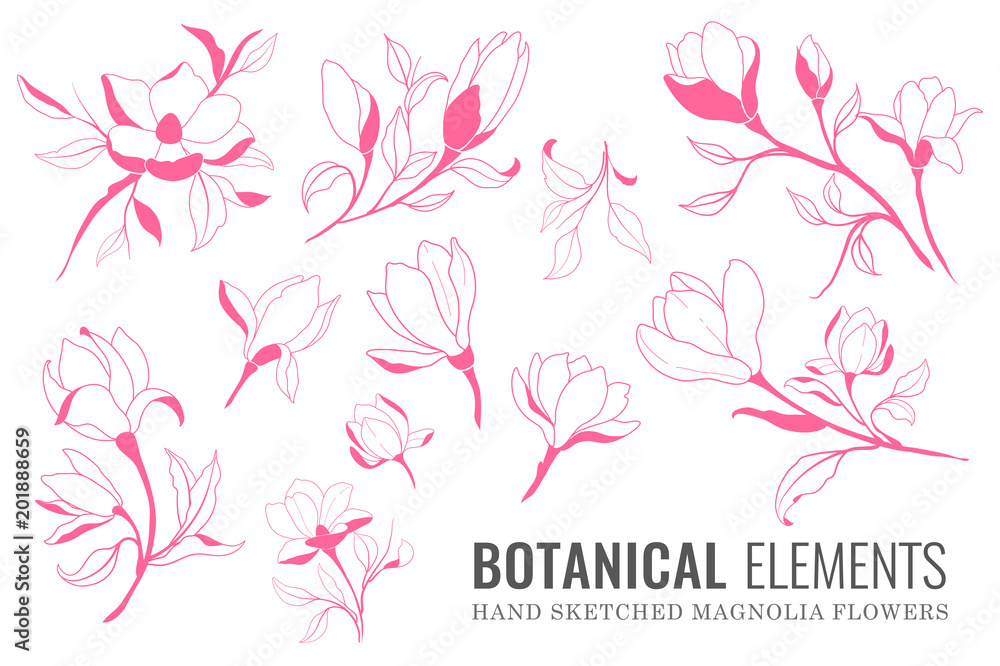 Naklejka premium Realistic Magnolia Outline Artwork