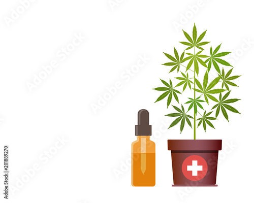 Marijuana plant and dropper with CBD oil. Cannabis Oil. Medical marijuana. CBD oil hemp products. Oil glass bottle mock up. Cannabis extract. Isolated vector illustration with copy space.