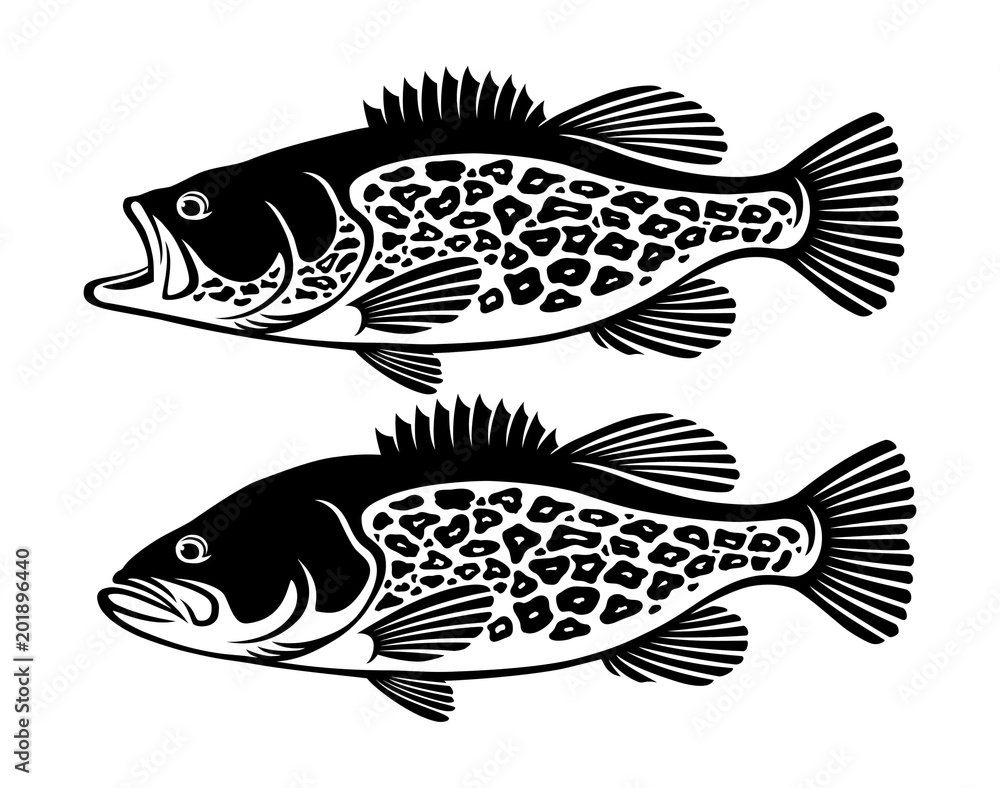 Naklejka premium bass fish
