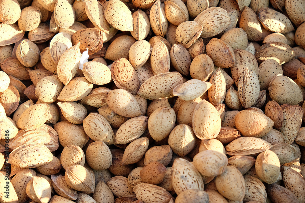 Background of almonds Background of almonds
