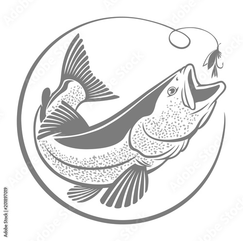 trout  fish