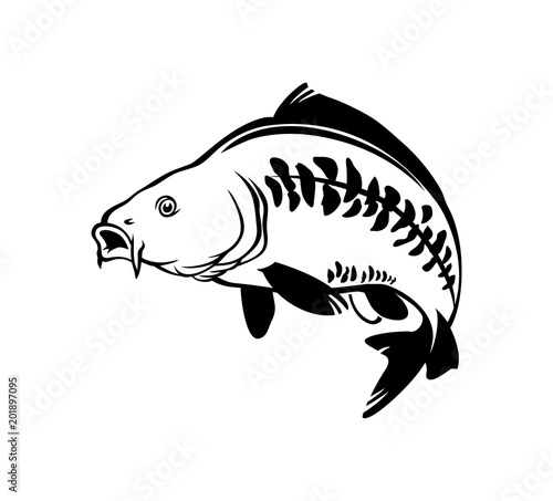 carp fish