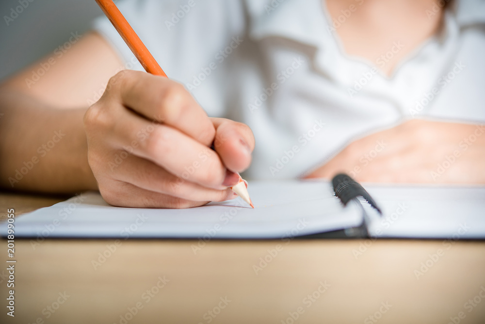Fototapeta premium Writing a study book is essential to the future.