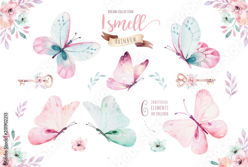 Watercolor colorful butterflies, isolated on white background. blue, yellow, pink and red butterfly illustration. photo