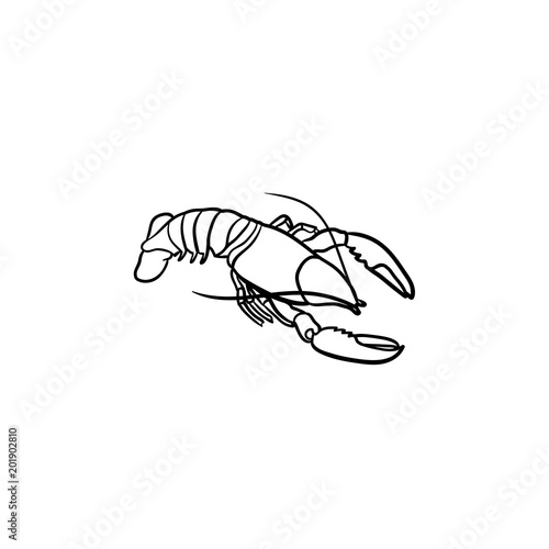 Lobster hand drawn outline doodle icon. Vector sketch illustration of healthy seafood - lobster or cancer for print, web, mobile and infographics isolated on white background.