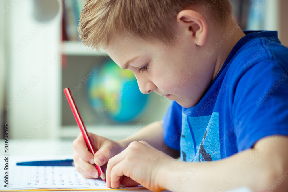 Intelligent boy makes homework in his room Intelligent boy makes homework in his room