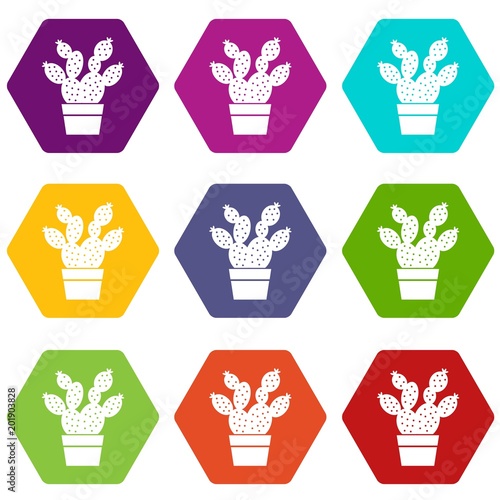 Prickly pear icons 9 set coloful isolated on white for web