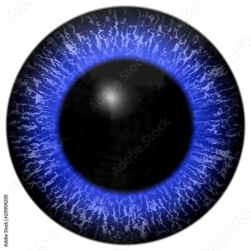 Sharp scary and colorful eye iris