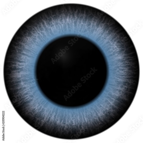 Sharp scary and colorful eye iris