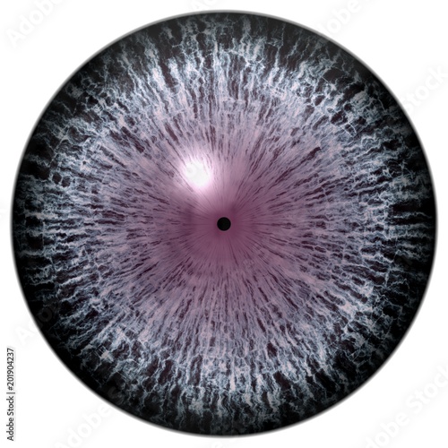 Sharp scary and colorful eye iris