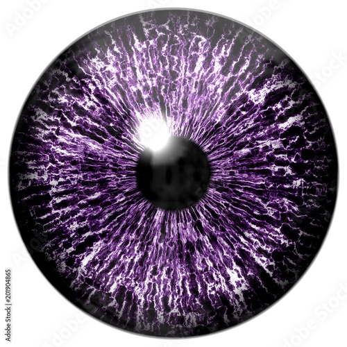 Sharp scary and colorful eye iris