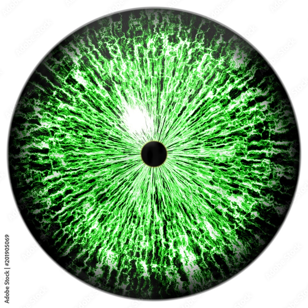 Obraz premium Sharp scary and colorful eye iris