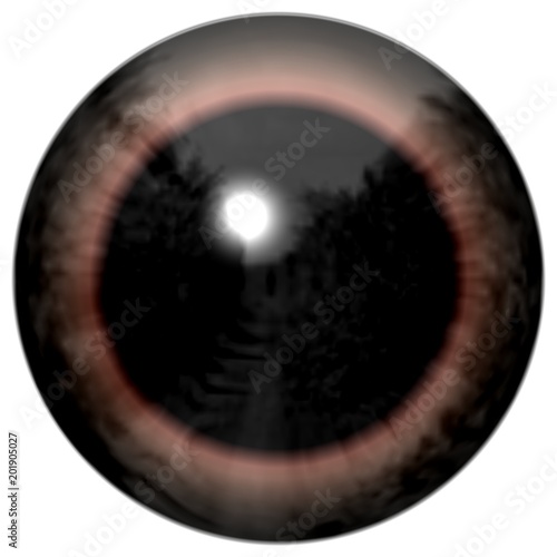 Sharp scary and colorful eye iris