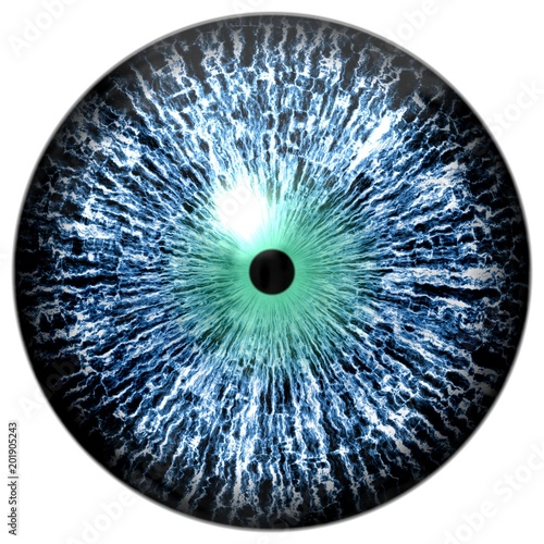 Sharp scary and colorful eye iris