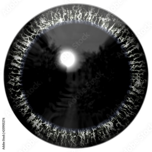 Sharp scary and colorful eye iris