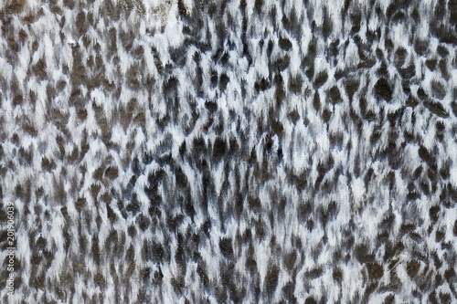 Starnge Wall Texture photo