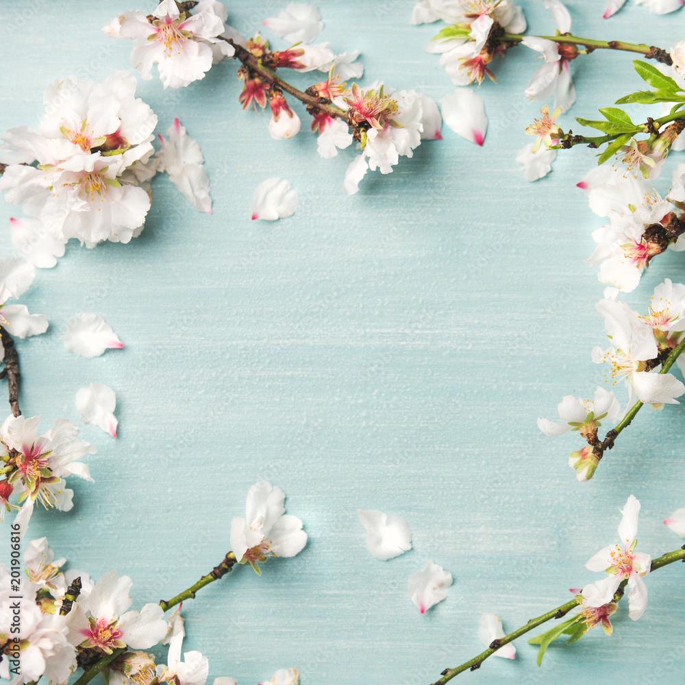 Spring floral background, texture and wallpaper. Flat-lay of white almond  blossom flowers over light blue background, top view, copy space, square  crop. Womens day holiday greeting card or wedding Stock Photo |