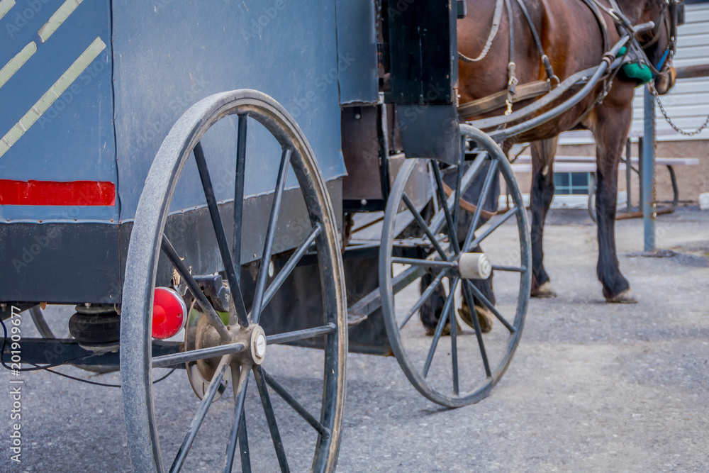 Outdoor view of back view of wheel of Amish buggy with a legs horse parked in a farm