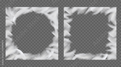 Feathers frame set vector realistic illustration