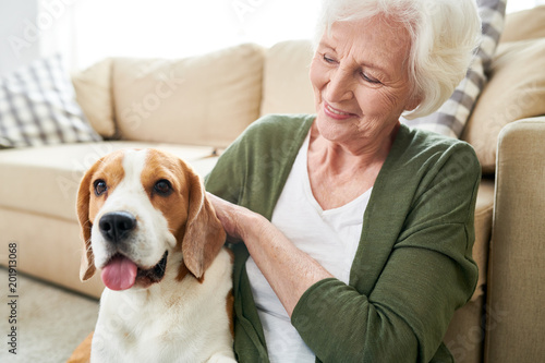 Happy excited senior woman with white hair sitting on floor and stroking favorite Beagle dog while hugging pet at home