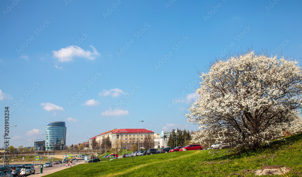 Spring in Vilnius Spring in Vilnius