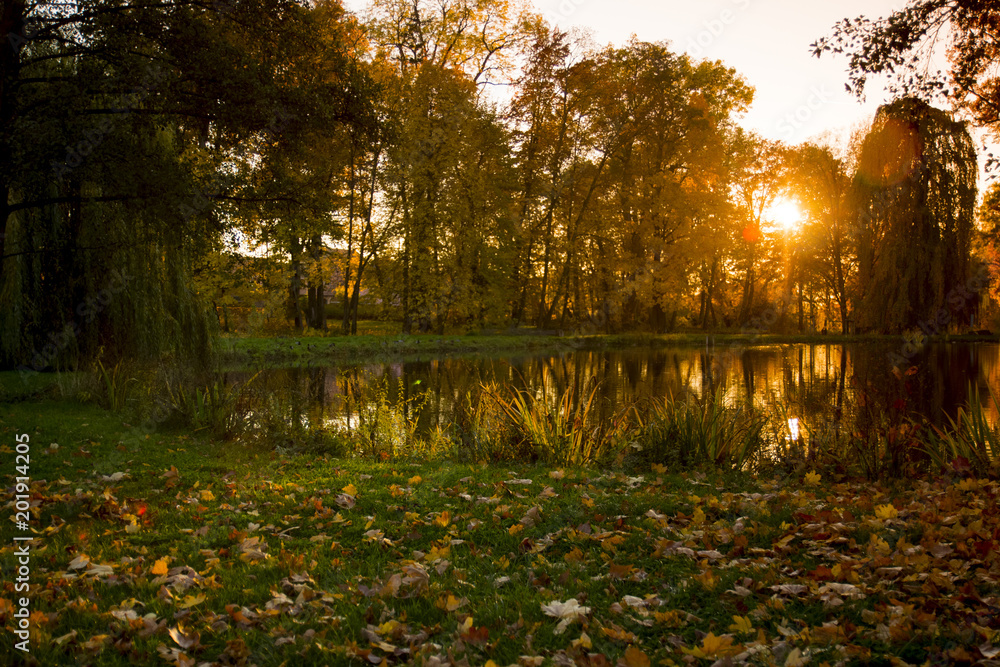 Obraz premium Herbst