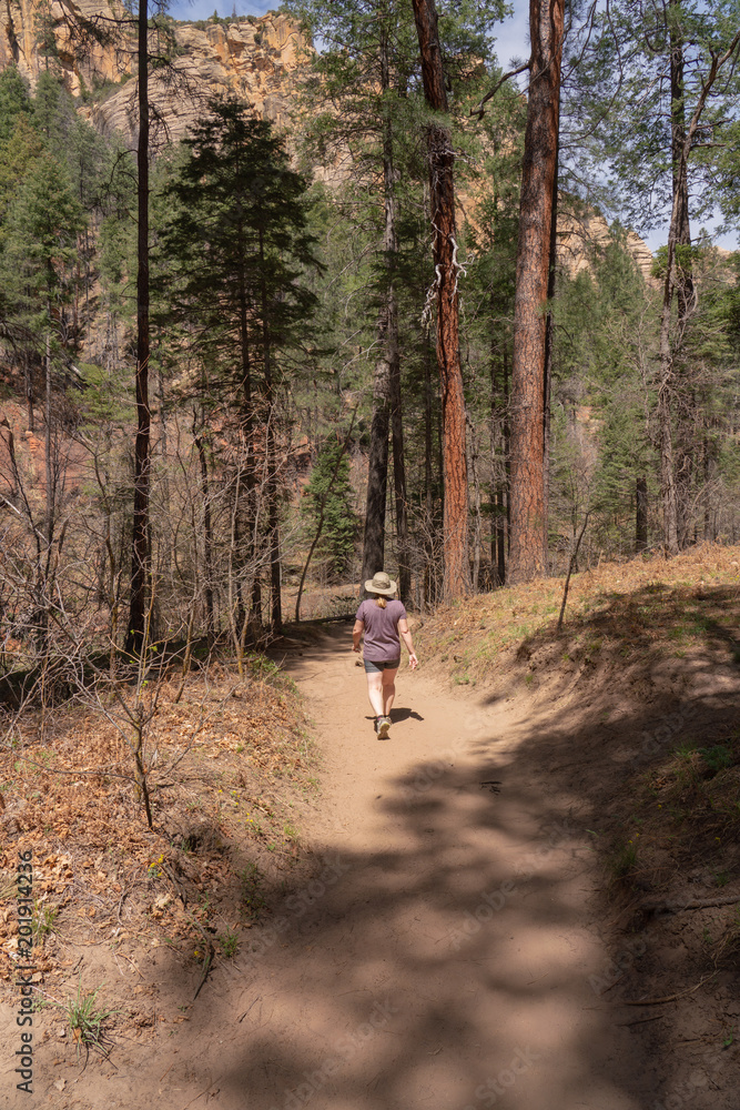 Fototapeta premium Woman on Path in the Quiet Peaceful Forest