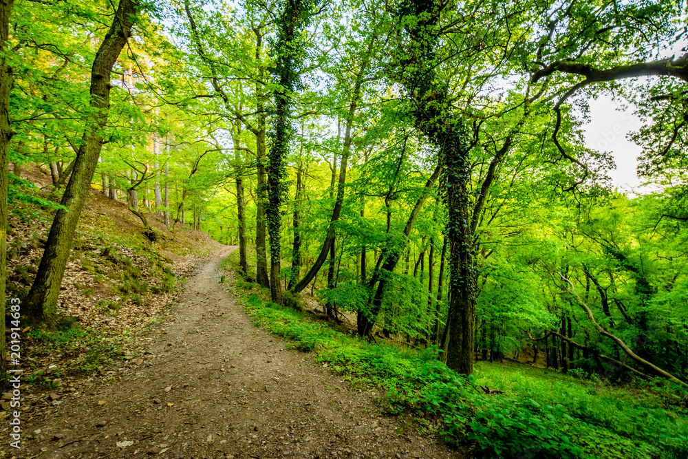 Fototapeta premium Wander-Lust - Germany