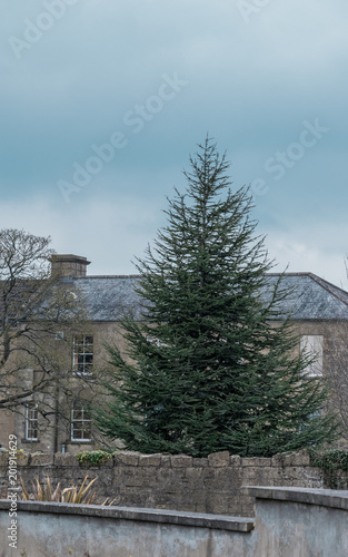 Christmas tree in the city wrapped into a concrete without decoration
