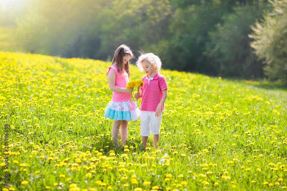 Kids play. Child in dandelion field. Summer flower Kids play. Child in dandelion field. Summer flower