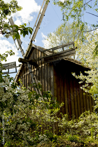 Old rural wooden mill In the spring blooming garden