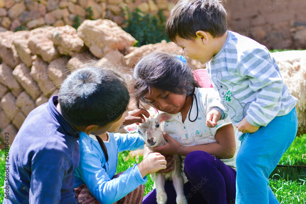 Four latin children taking care of newborn lamb. Four latin children taking care of newborn lamb.