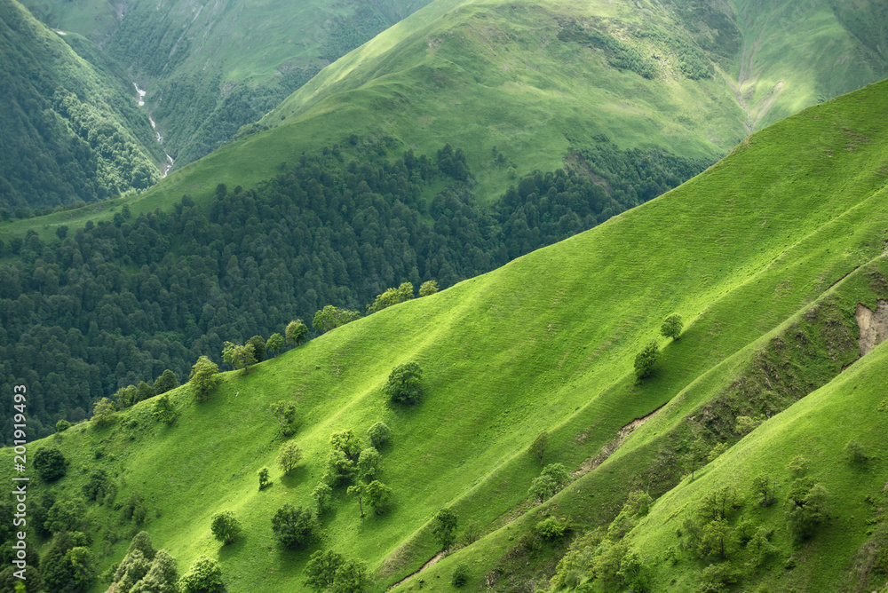 Mountain pass in Georgia in summer. Abano pass in the Caucasus mountains. - obrazy, fototapety, plakaty 