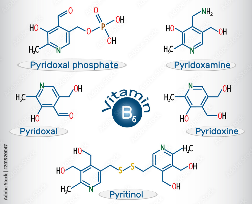 Vitamin B6 ( pyridoxal phosphate, pyridoxamine, pyridoxal , pyritinol