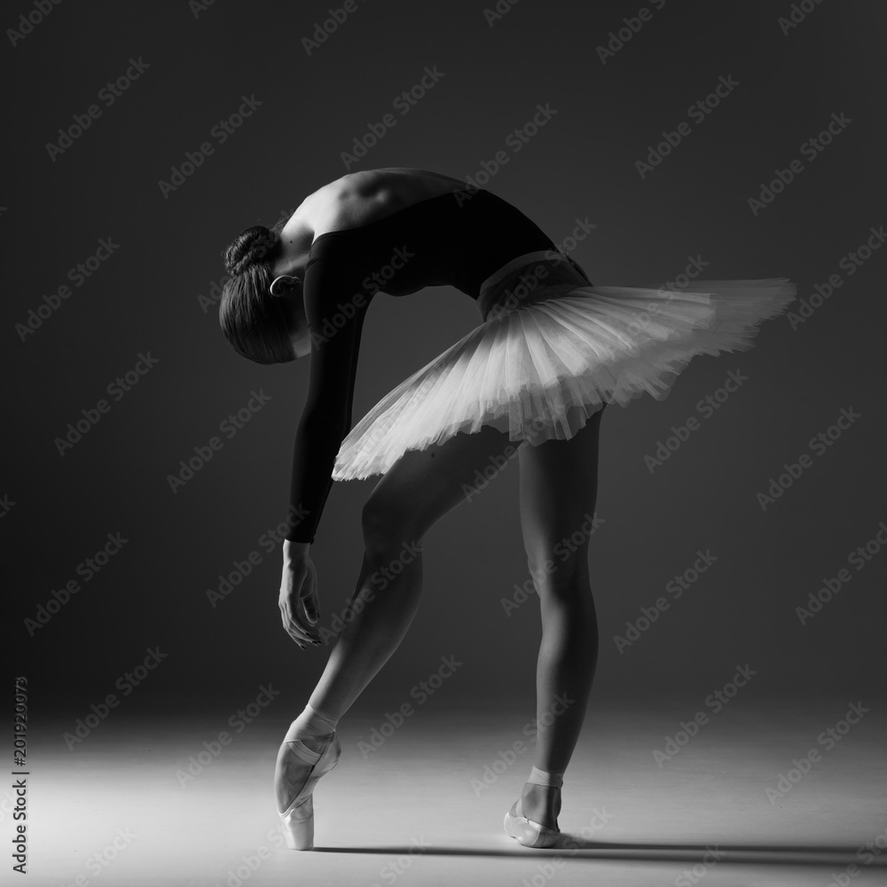 Photographie Young beautiful ballerina is posing in studio - Acheter-le sur  Europosters.fr