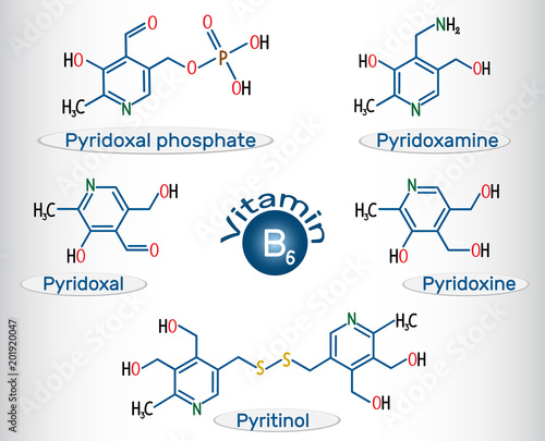 Vitamin B6 ( pyridoxal phosphate, pyridoxamine, pyridoxal , pyritinol, pyridoxine). Structural chemical formula and molecule model