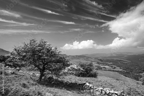 Black and white landscape view from Cadair Idris looking North towards Dolgellau over fields and countryside on sunny day