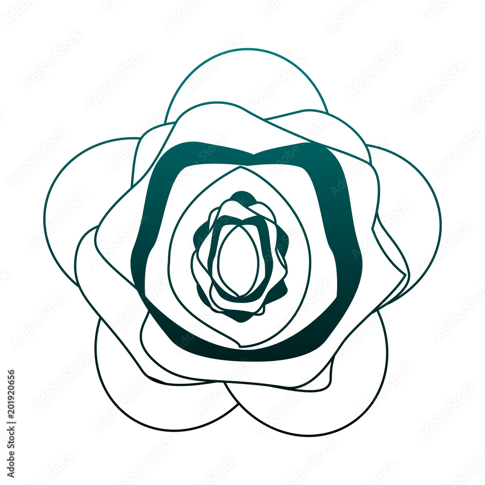 Beautiful flower symbol vector illustration graphic design