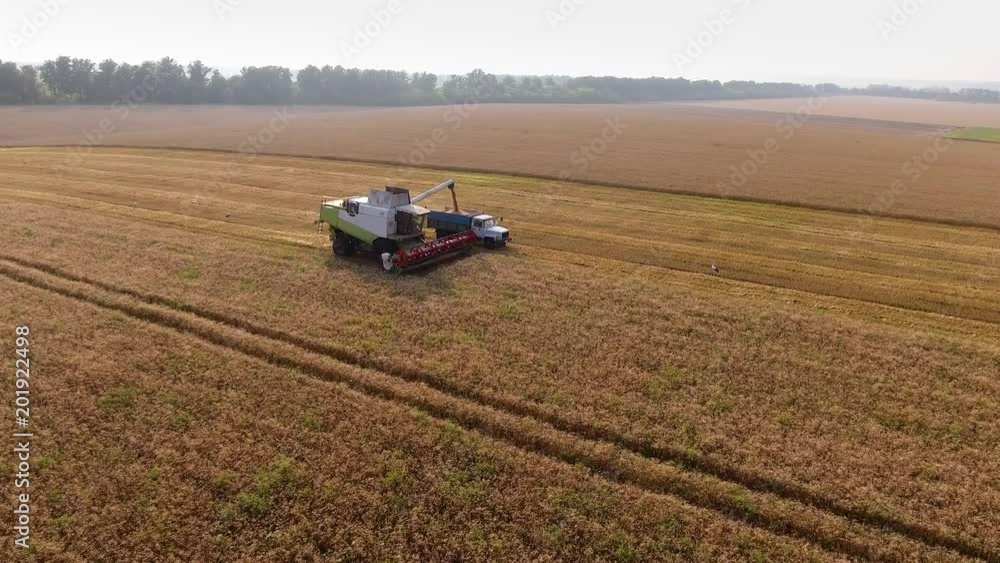 Aerial view of combine filling truck. combine working on wheat field. Harvester gathers corn. Harvesting grain field Aerial view of combine filling truck. combine working on wheat field. Harvester gathers corn. Harvesting grain field